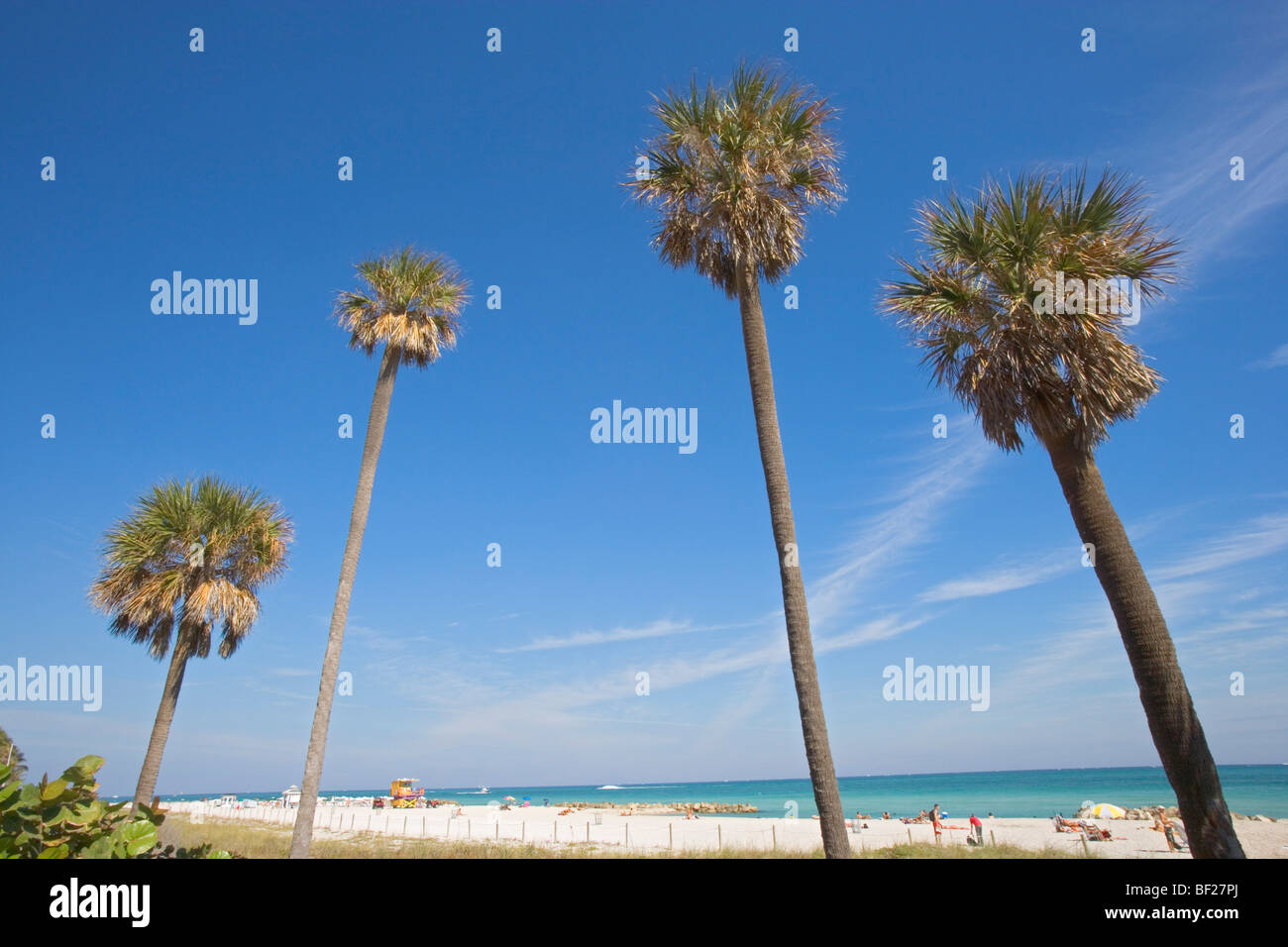 Le palme sotto il cielo blu sulla spiaggia a Boardwalk distretto, Miami Beach, Florida, Stati Uniti d'America Foto Stock