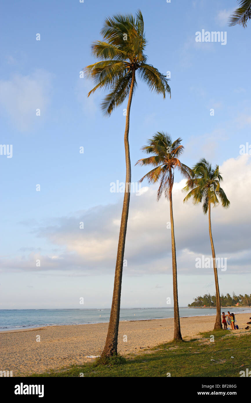 Le persone e le palme in spiaggia sotto il cielo nuvoloso, Luquillo, Puerto Rico, Caraibi, America Foto Stock
