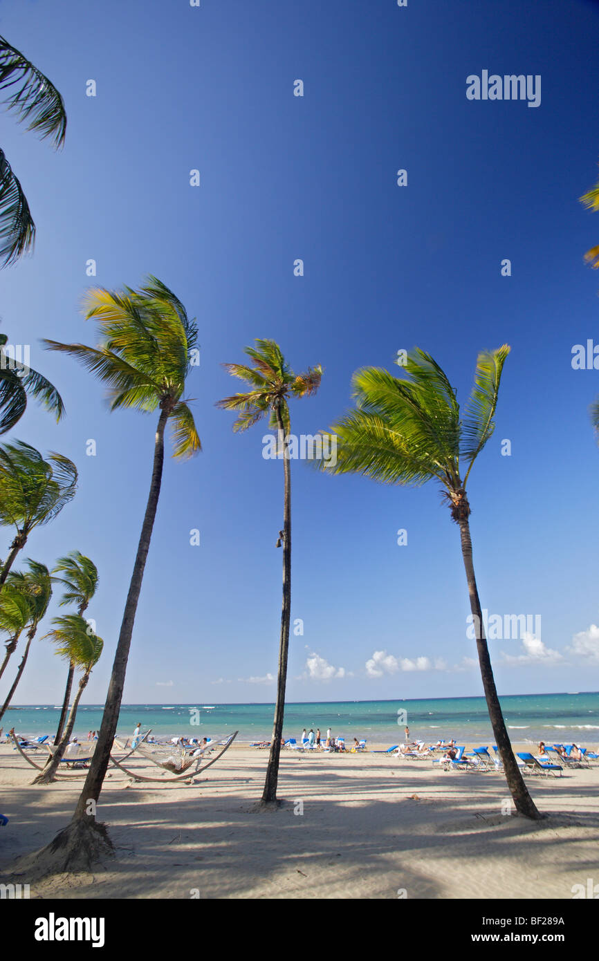 Le persone e le palme in spiaggia sotto il cielo blu, Isla Verde, Puerto Rico, Caraibi, America Foto Stock