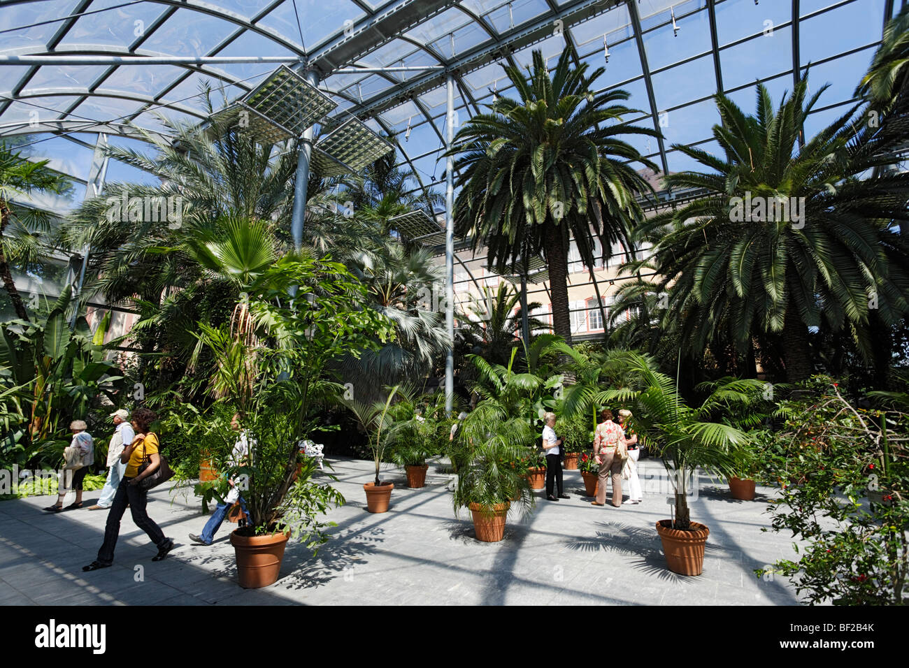 Casa delle Palme, Isola di Mainau, Baden-Württemberg, Germania Foto Stock