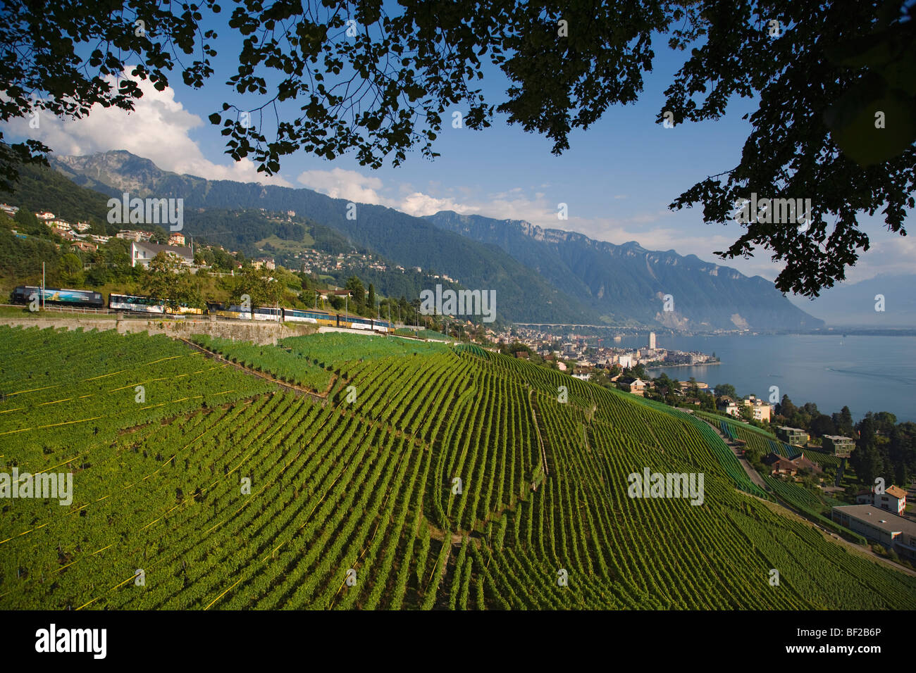 GoldenPass Panoramic treno, Montreux, Canton Vaud, Svizzera Foto Stock