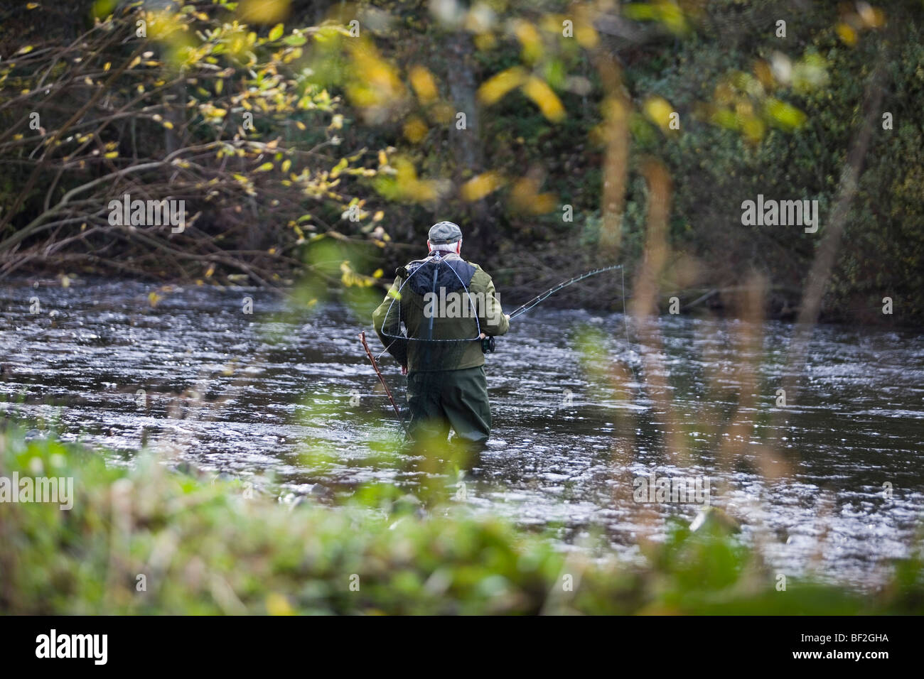 La pesca del salmone sul Tyne nord fiume di bellingham northumberland England Regno Unito Foto Stock