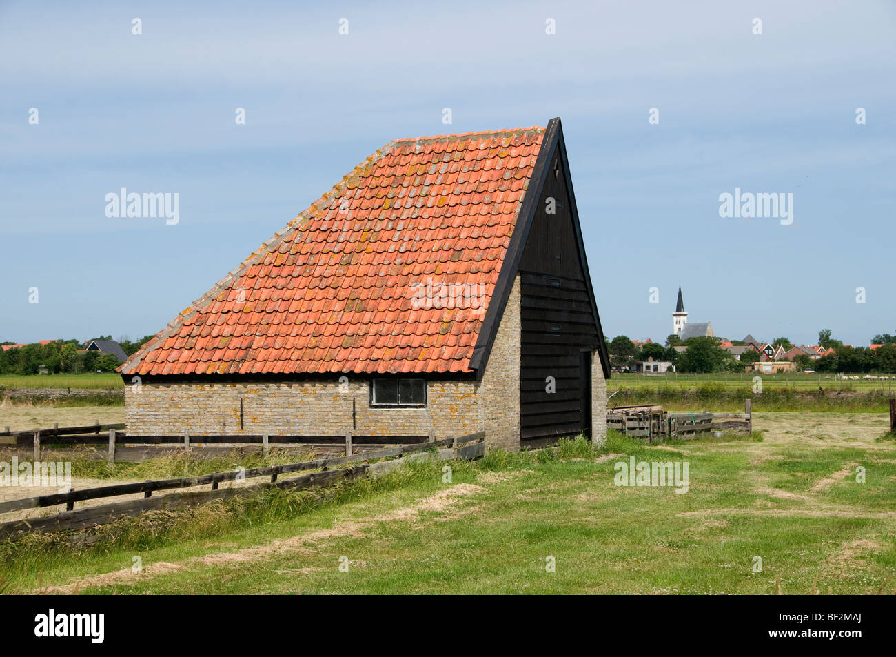 Texel Paesi Bassi Olanda Fattoria Isola Waddenzee Foto Stock