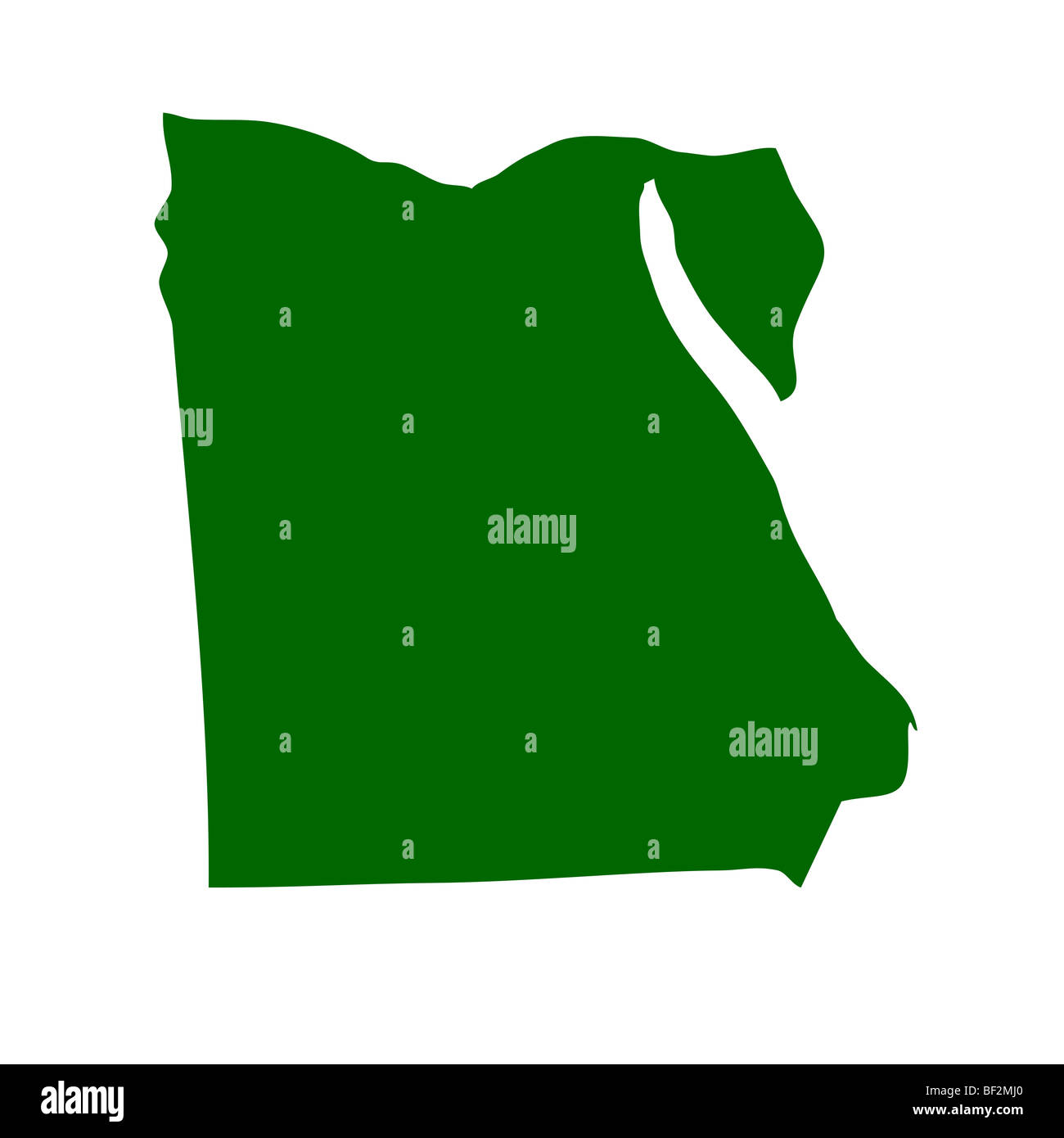Mappa di contorno di Egitto isolato su sfondo bianco con percorso di clipping. Foto Stock