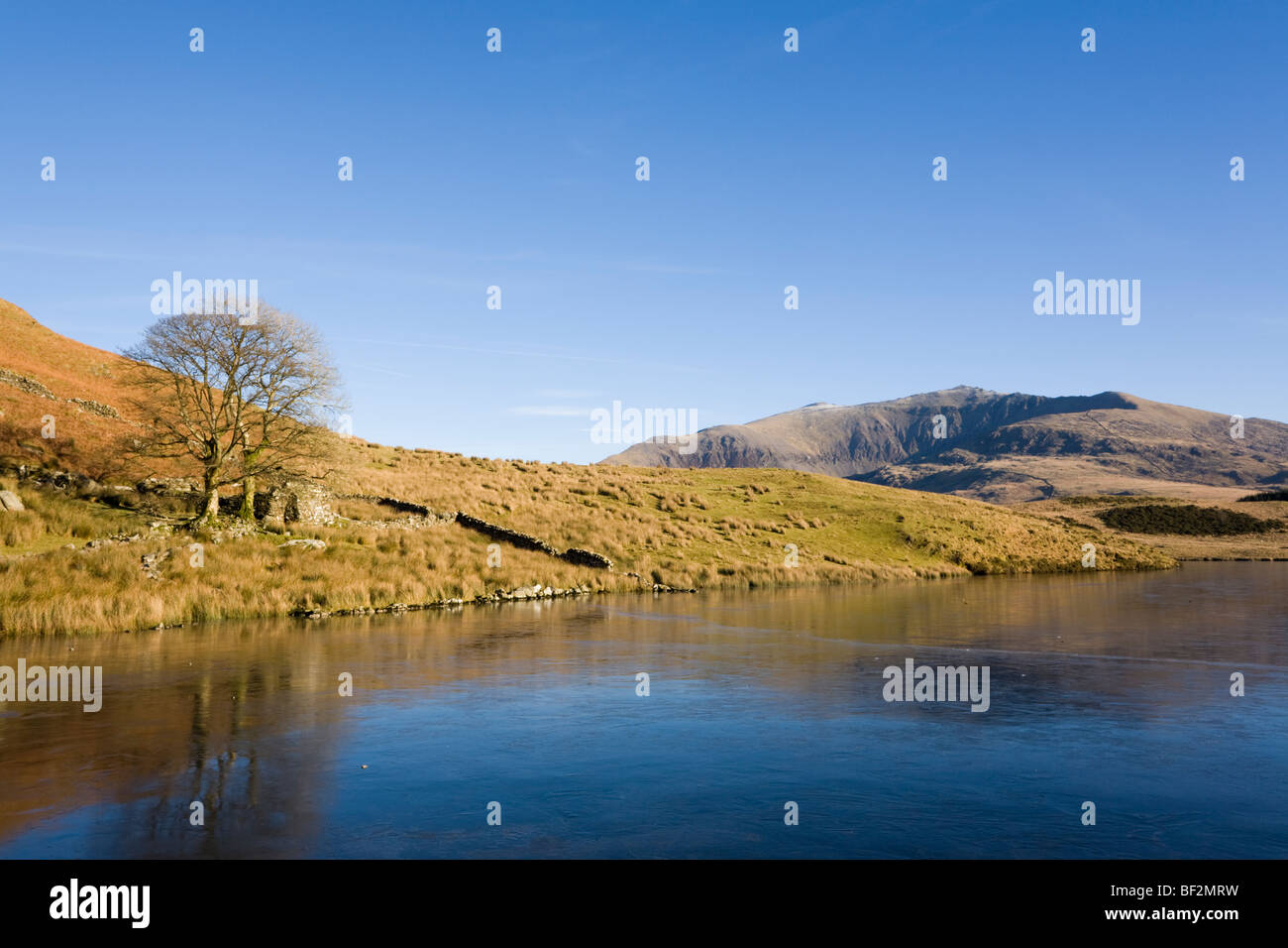 Il Galles del Nord Regno Unito vista di Snowdon Yr Wyddfa da ovest attraverso congelati Llyn y Dywarchen lago in inverno in Snowdonia "Parco Nazionale" Foto Stock