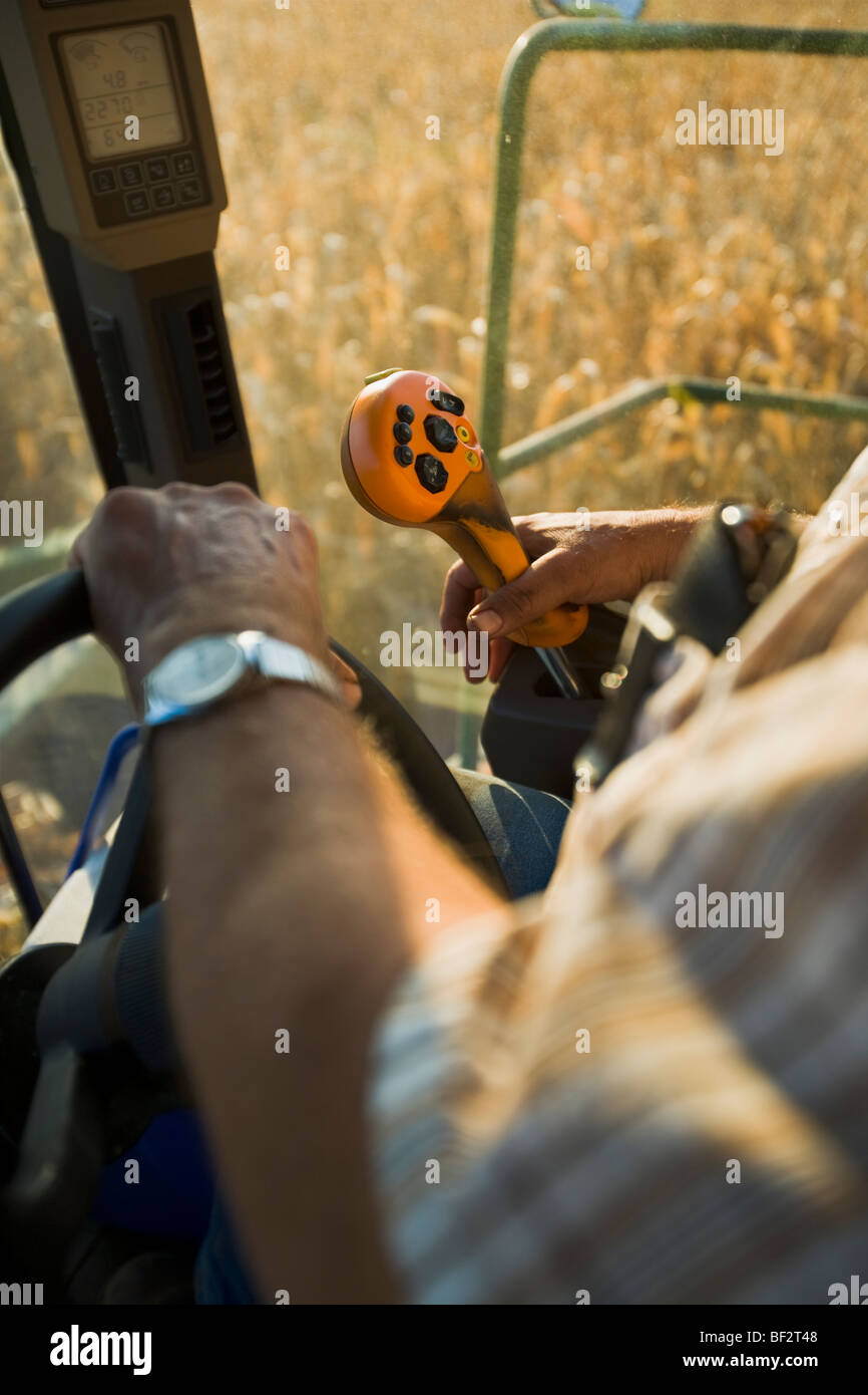 Le mani di un contadino di azionare i comandi di una mietitrebbia durante il grano raccolto di mais / vicino a Northland, Minnesota, Stati Uniti d'America. Foto Stock