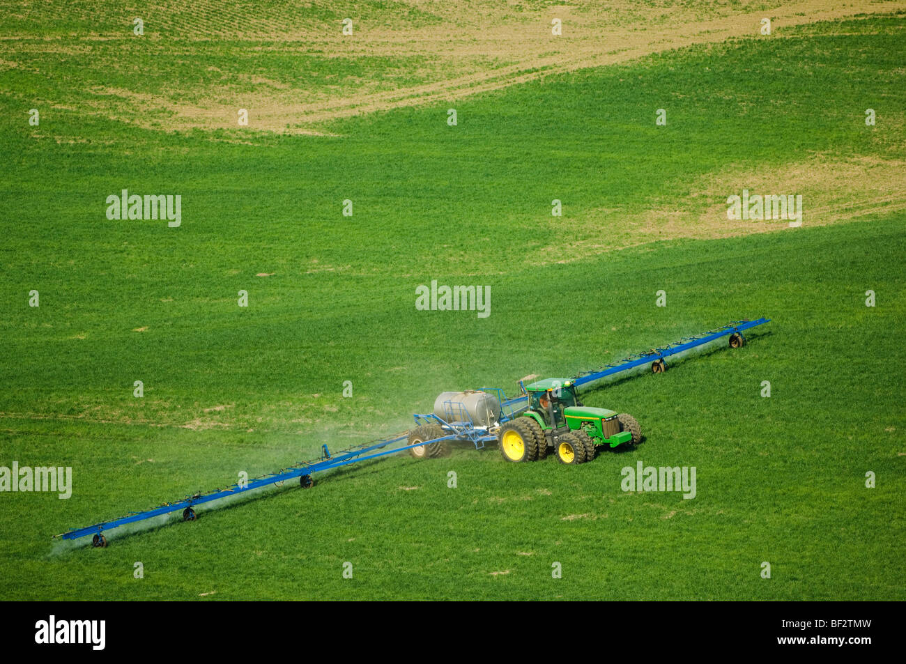 Applicazione di massa di erbicida per il controllo delle piante infestanti su un campo di crescita precoce di grano di inverno / Regione Palouse, Washington, Stati Uniti d'America. Foto Stock