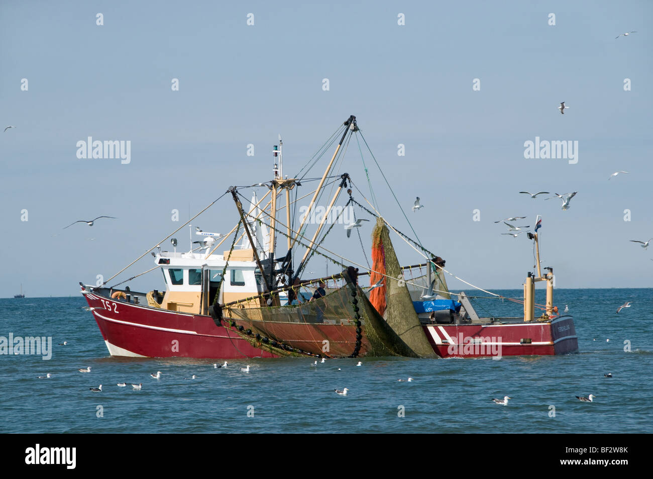 Vlıeland Terschellıng Pesca Texel Waddenzee Waddenzee Paesi Bassi Foto Stock
