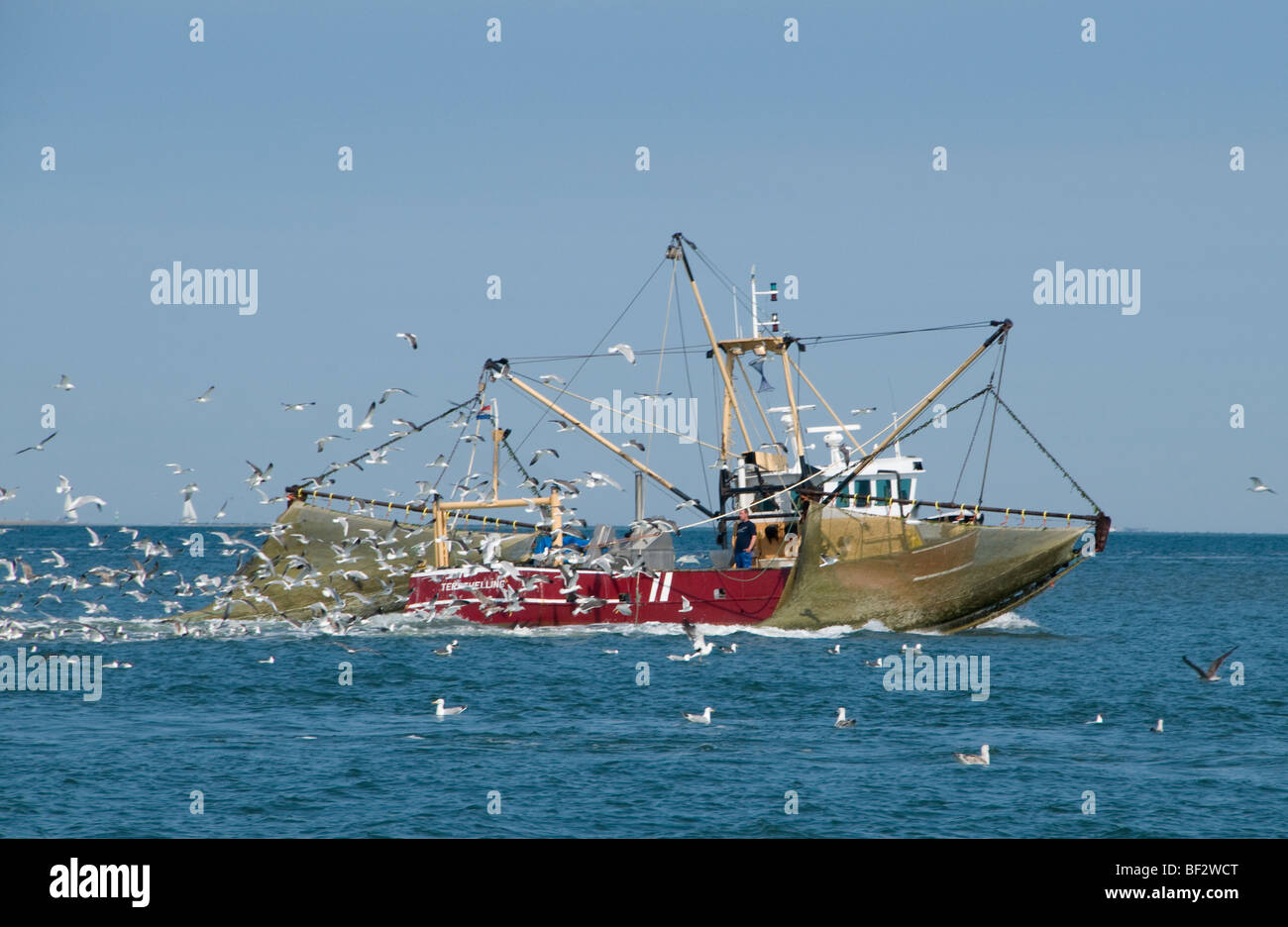 Vlıeland Terschellıng Pesca Texel Waddenzee Waddenzee Paesi Bassi Foto Stock