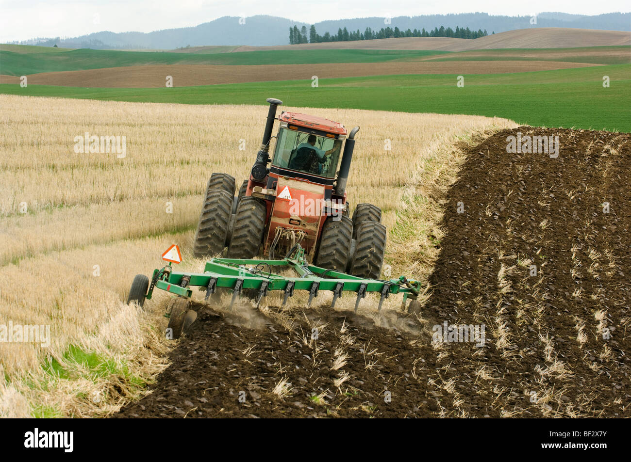 Un trattore tirando un aratro a scalpello in un campo di grano la stoppia prepara il campo per la prossima semina, un raccolto di ceci. Foto Stock