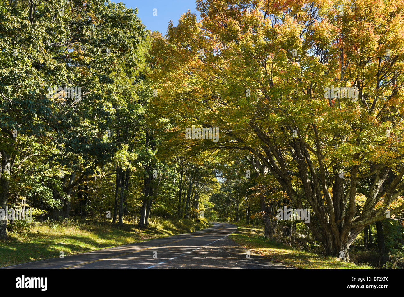 Colori autunnali sulla Skyline Drive, Parco Nazionale di Shenandoah, Blue Ridge Mountains, Virginia, Stati Uniti d'America Foto Stock