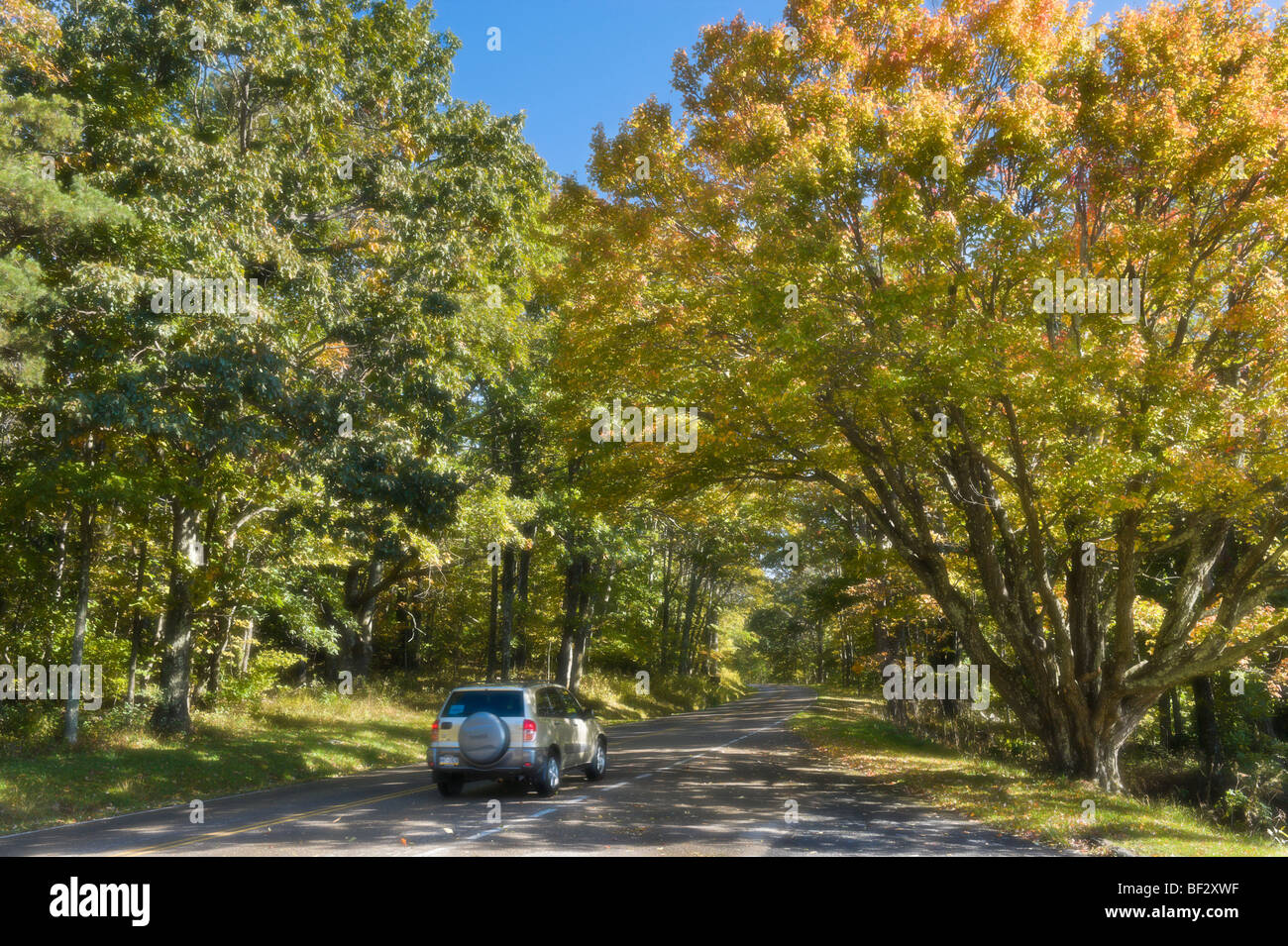 Soft Focus di auto sulla Skyline Drive in autunno, Parco Nazionale di Shenandoah, Blue Ridge Mountains, Virginia, Stati Uniti d'America Foto Stock