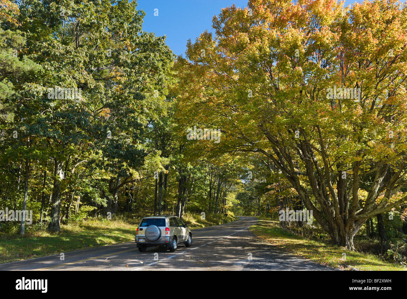 Auto sulla Skyline Drive in autunno, Parco Nazionale di Shenandoah, Blue Ridge Mountains, Virginia, Stati Uniti d'America Foto Stock