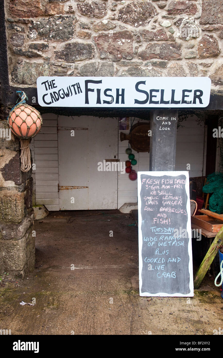 Pesce fresco venditori Shop, Cadgwith località villaggio di pescatori, penisola di Lizard, Cornwall, Sud Ovest Inghilterra Foto Stock