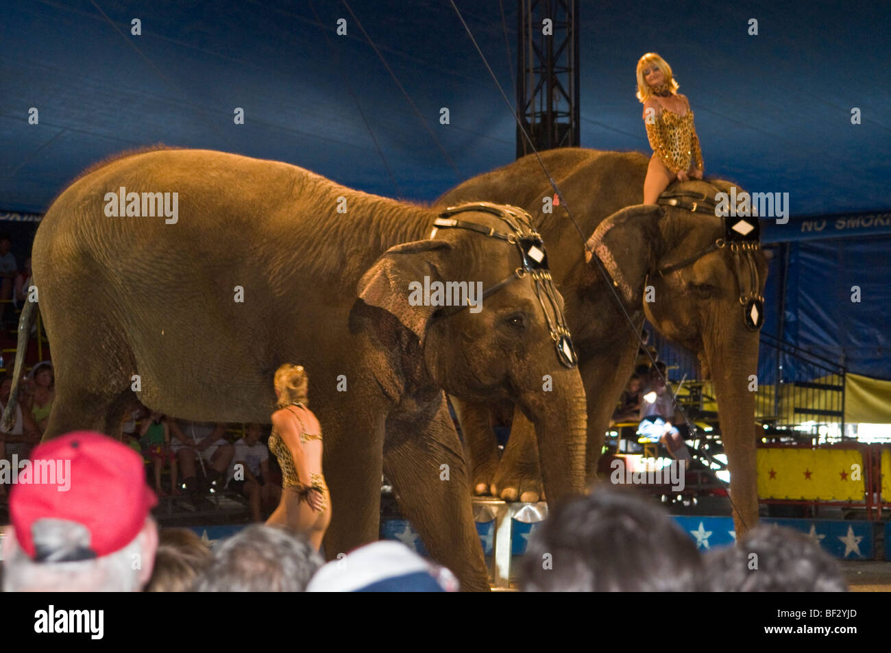 Clyde Beatty Cole Fratelli Bros. Circus più grande spettacolo itinerante in tela America Stati Uniti Foto Stock