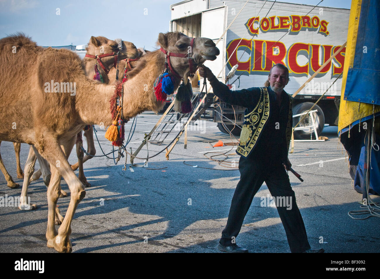 Clyde Beatty Cole Fratelli Bros. Circus più grande spettacolo itinerante in tela America Stati Uniti Foto Stock