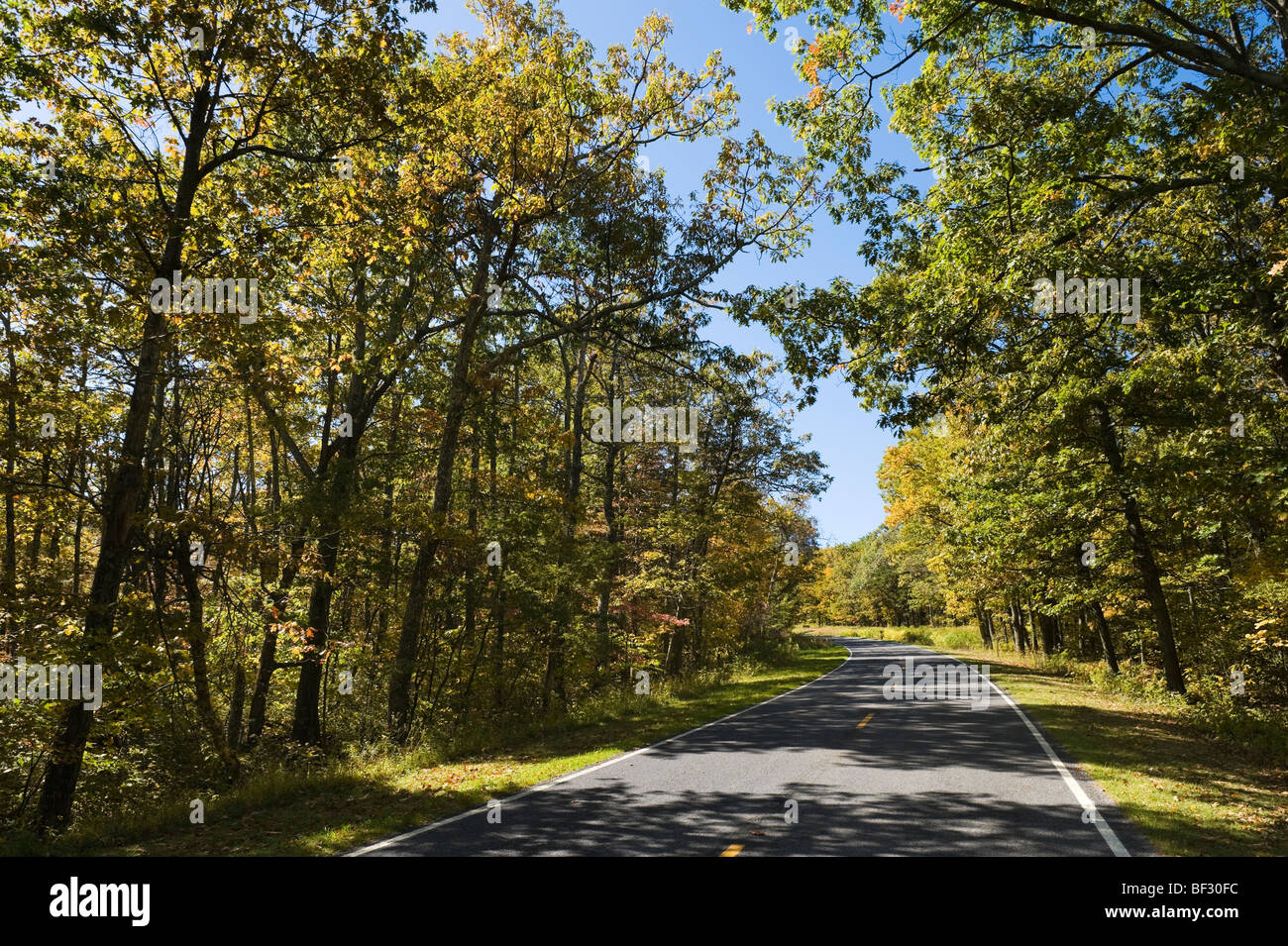 Colori autunnali sulla Skyline Drive, Parco Nazionale di Shenandoah, Blue Ridge Mountains, Virginia, Stati Uniti d'America Foto Stock