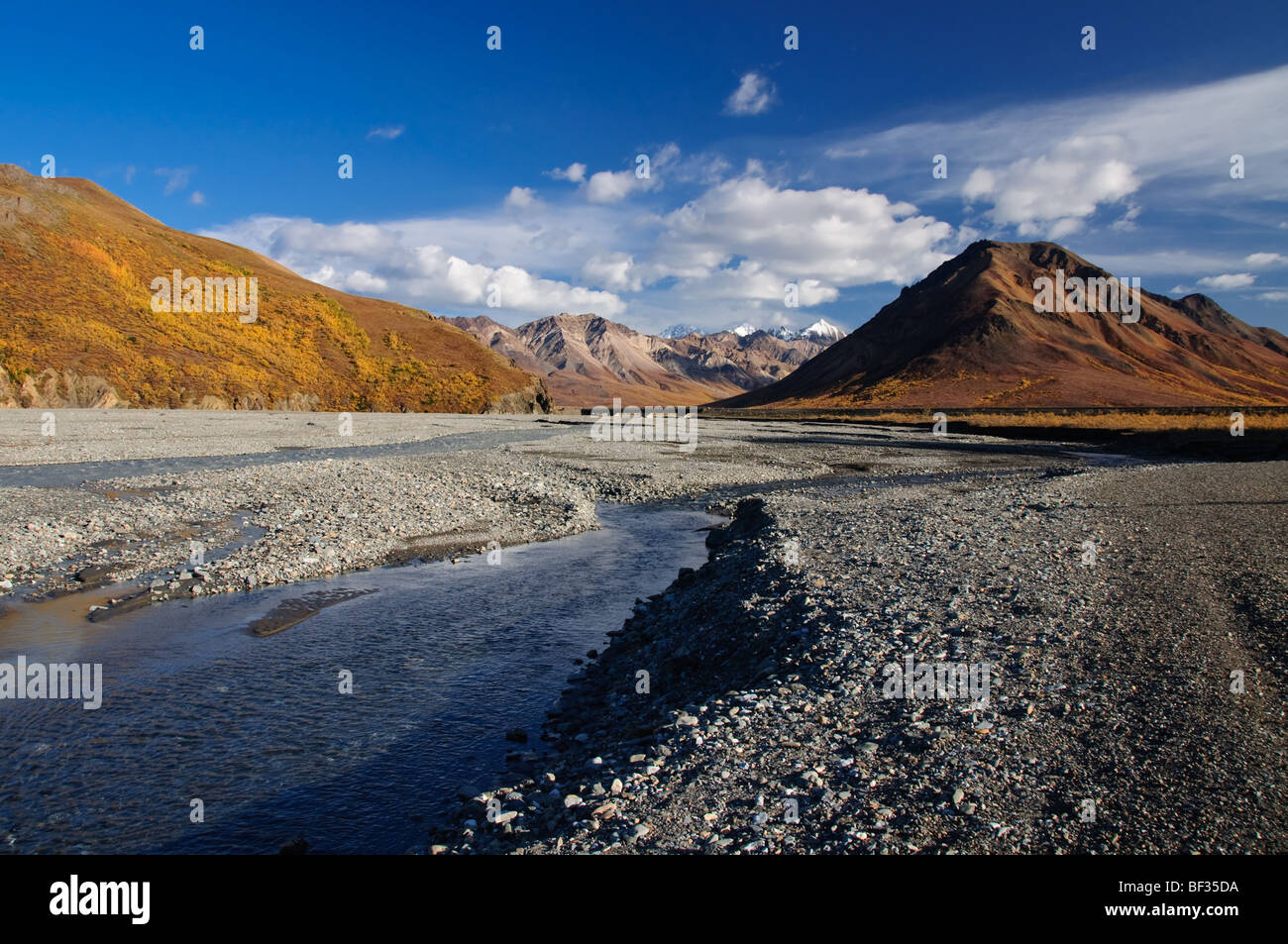 Parco Nazionale di Denali Toklat Fiume Veduta autunnale Foto Stock