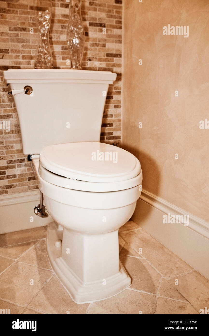 Tazza di gabinetto nella stanza da bagno Foto stock - Alamy
