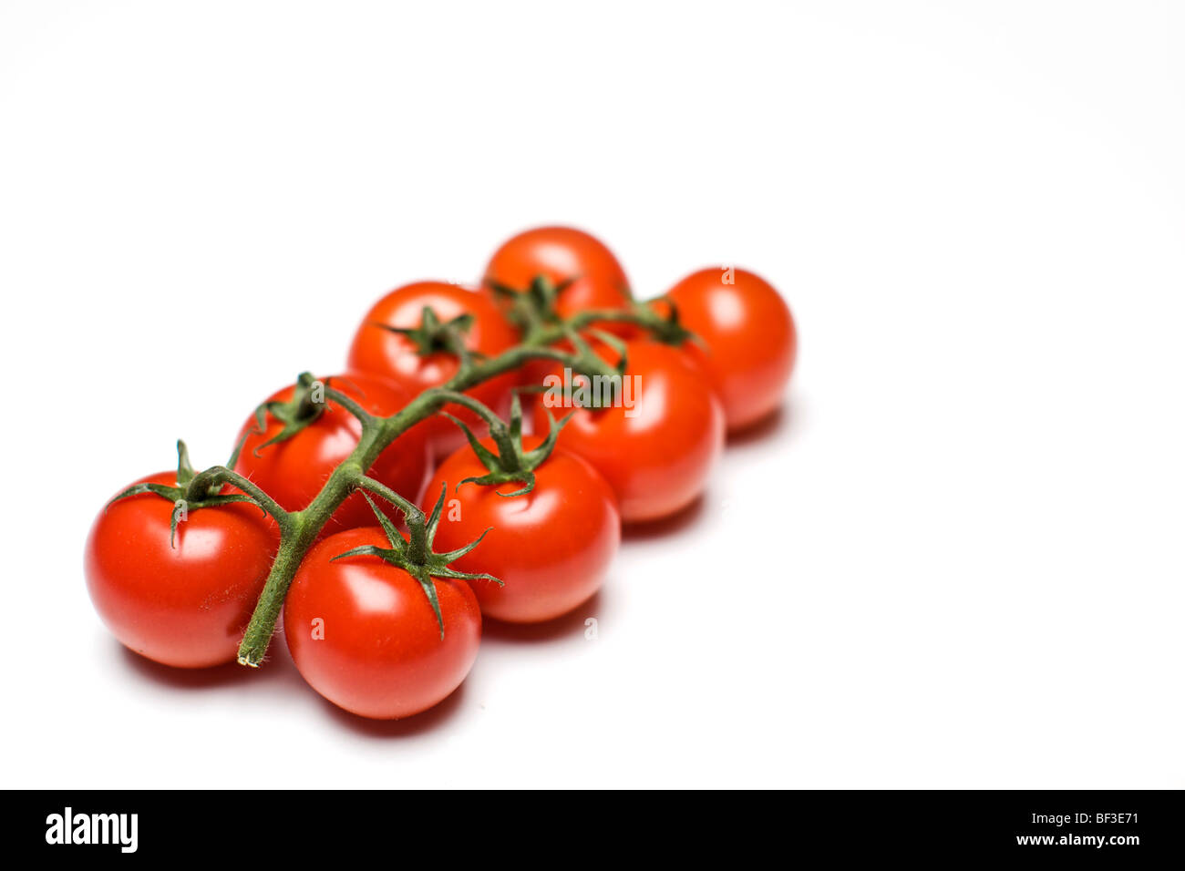 Pomodori sulla vite contro uno sfondo bianco Foto Stock