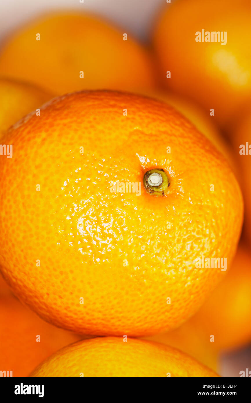 Vicino sul mucchio di mandarini Foto Stock