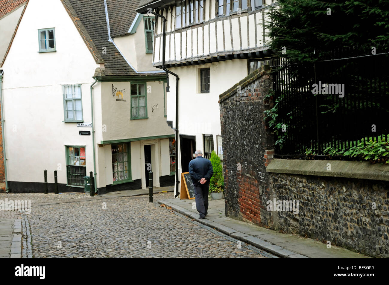 Norwich, Norfolk, Inghilterra, Regno Unito. Elm Hill Foto Stock