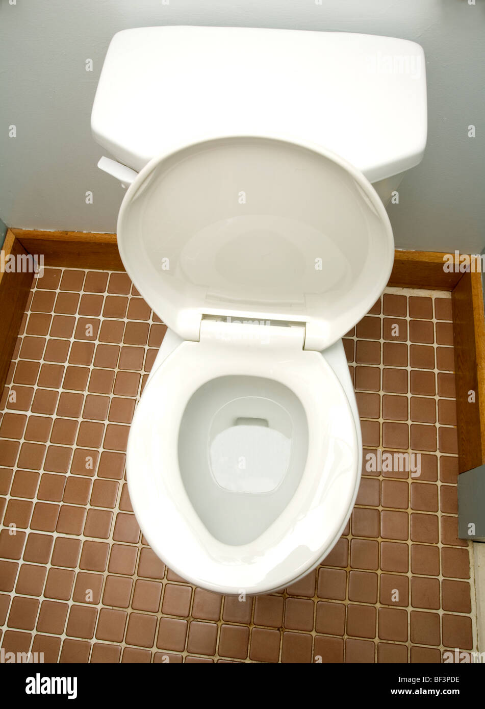 Servizi igienici Foto Stock