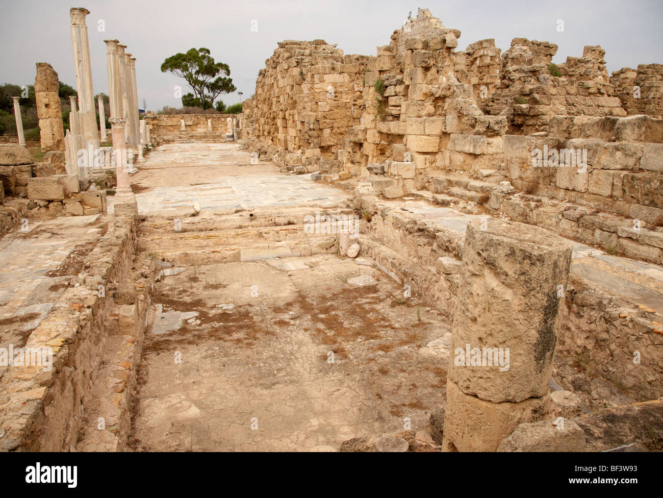 Piscine in palestra e vasche in un antico sito della vecchia villa romana di Salamina famagusta Foto Stock