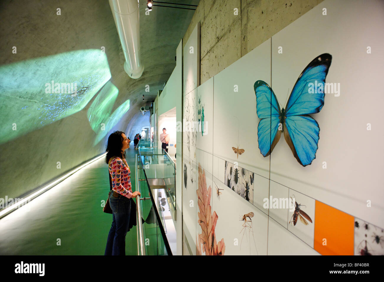 Il centro di Darwin cocoon la costruzione presso il Museo di Storia Naturale. Londra. Regno Unito 2009. Foto Stock