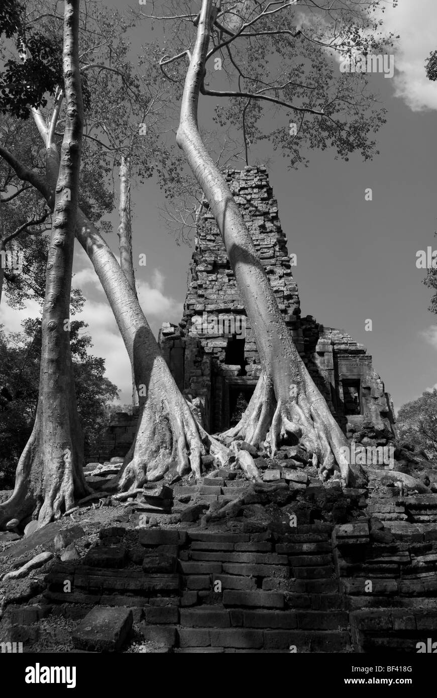 Le rovine di Preah Palilay attraverso gli alberi in Seam Reap, Cambogia Foto Stock