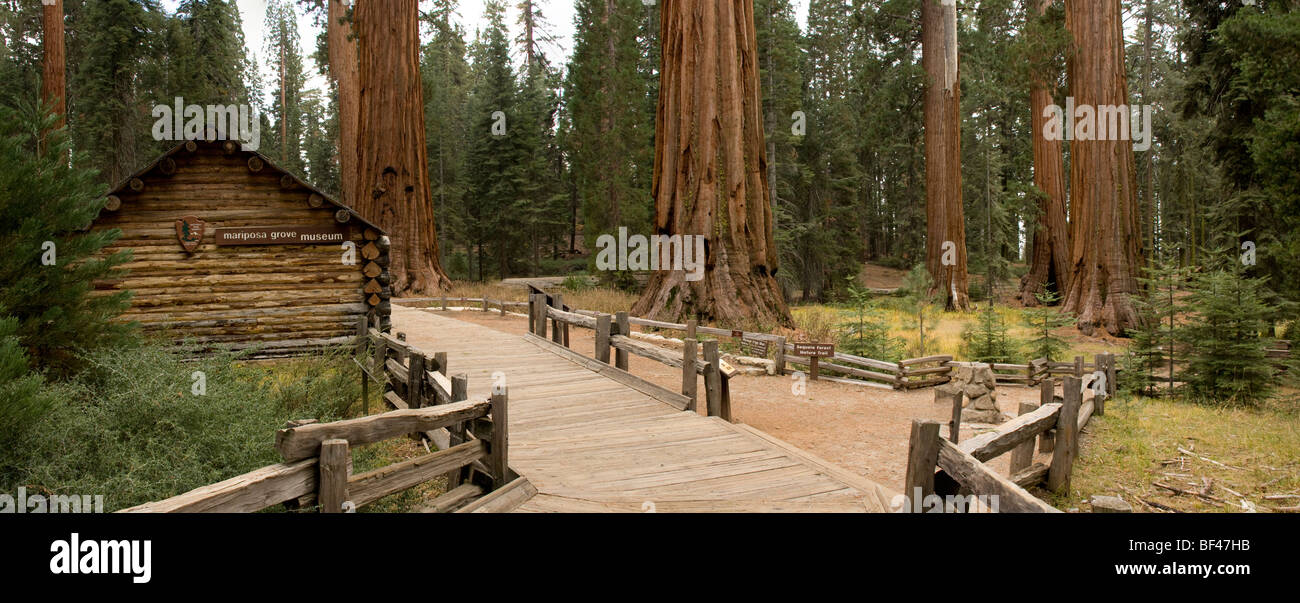 Museo al Mariposa Grove nel parco nazionale di Yosemite Foto Stock