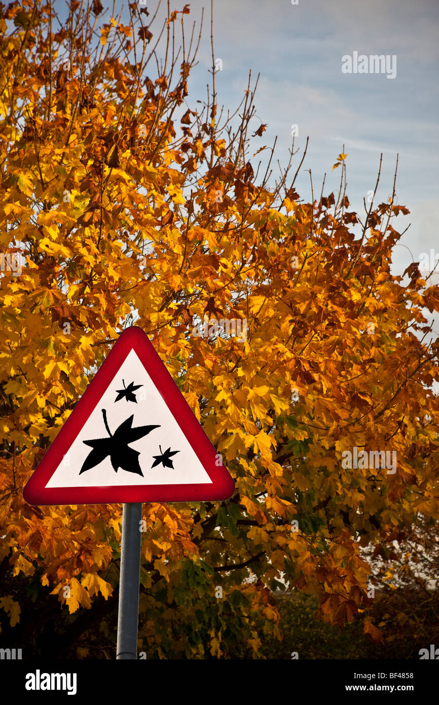 Un immaginario segno per foglie che cadono Foto Stock