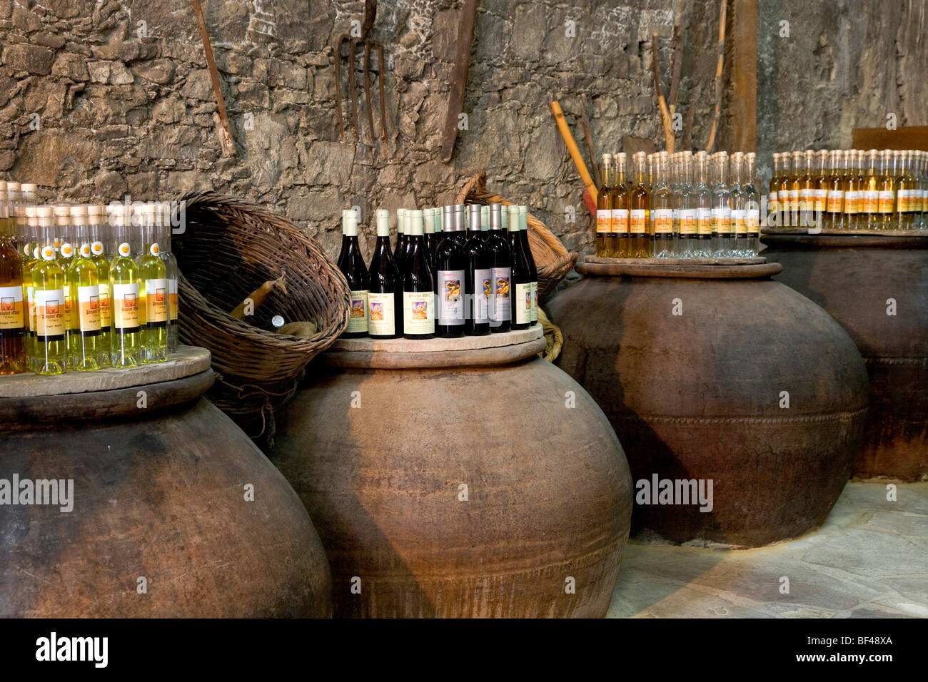 Cantina, barili, vino, Cipro, Grecia, Europa Foto Stock