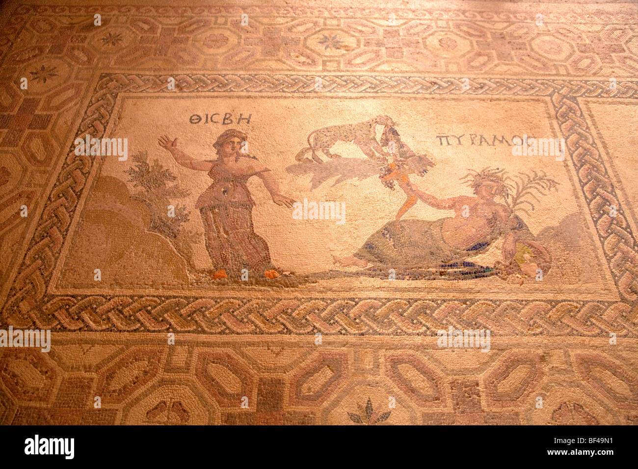 Mosaico, sito archeologico di Kato Pafos, casa di Dioniso, il Sito Patrimonio Mondiale dell'UNESCO, Paphos, Cipro, Grecia, Europa Foto Stock
