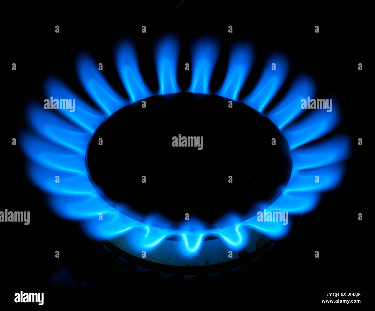 Blue Flames di fornelli a gas su sfondo nero, alcune parti della stufa sono visibili Foto Stock