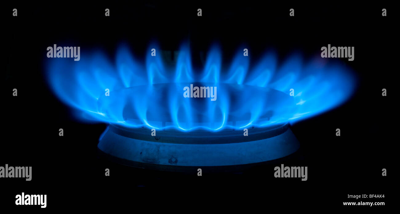 Blue Flames di fornelli a gas su sfondo nero, alcune parti della stufa sono visibili Foto Stock
