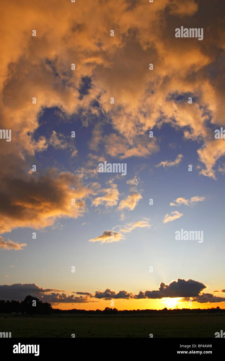 Drammatico il cielo con le nuvole illuminate dal basso dalla tarda serata sole al tramonto, il paesaggio in natura Oberalsterniederung rese Foto Stock