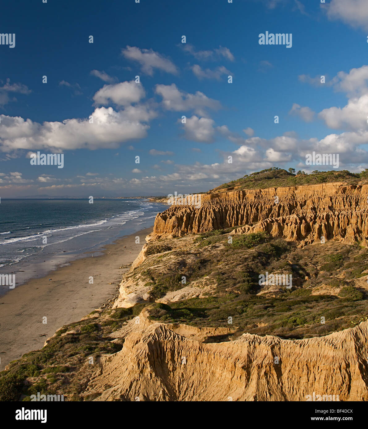 Costa frastagliata del sud della California a Torrey Pines State Park Foto Stock