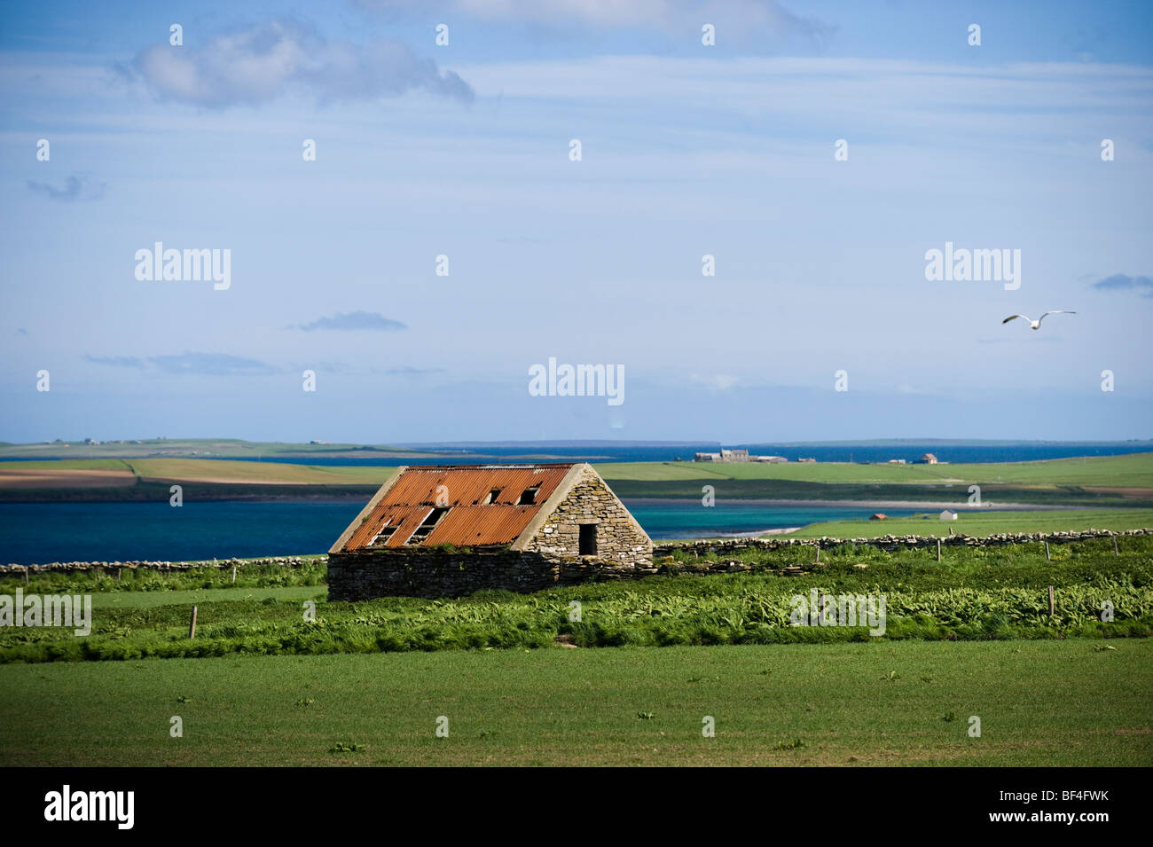 Cottage in pietra, granaio, isole Orcadi Scozia, Regno Unito, Europa Foto Stock