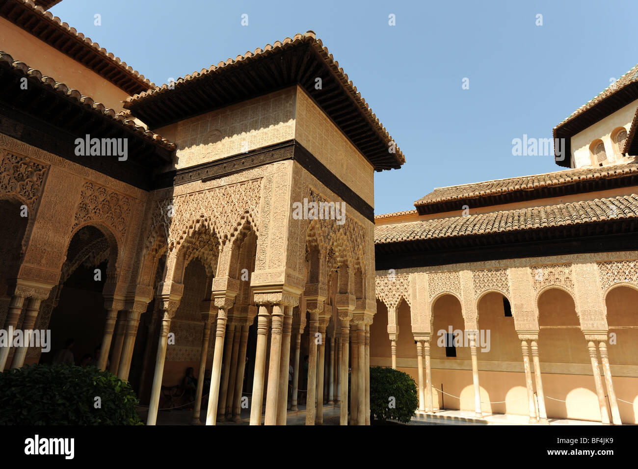 Patio de Los Leones, Cortile dei leoni, il Nasrid palazzi, la Alhmabra, Granada, Andalusia, Spagna Foto Stock