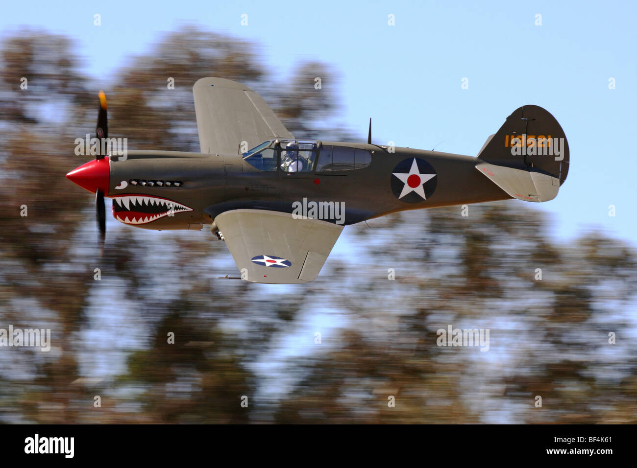 Modellino Aereo Da Collezione | Herpa 81AC074 Curtis Warhawk P40 | Metallico Scala 1:72 | Non Giocattolo