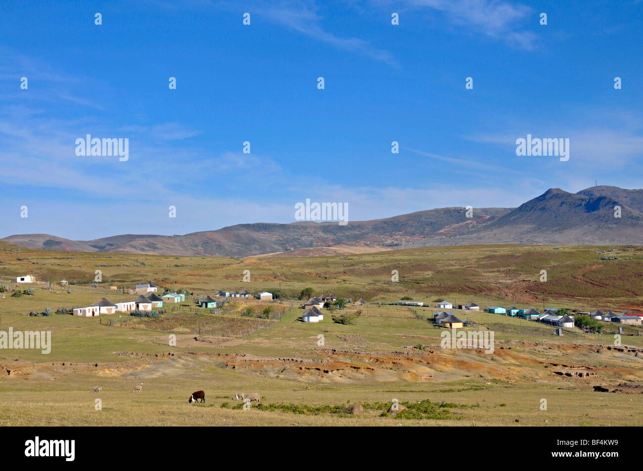 Case nel Transkei regione orientale della provincia del Capo, in Sud Africa e Africa Foto Stock