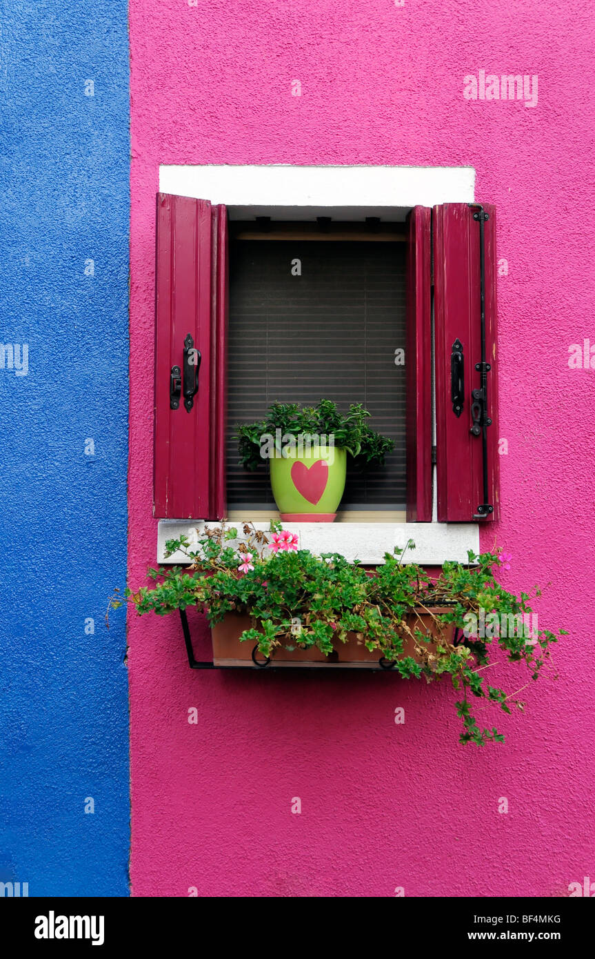 Casa colorata facciata con un splendidamente decorati finestra, Burano, Venezia, Veneto, Italia, Europa Foto Stock