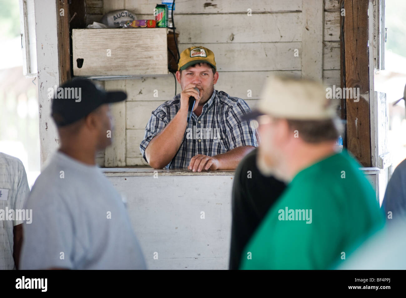 I cocomeri di essere venduto a Laurel mercato degli agricoltori di produrre Auction in Delaware Foto Stock