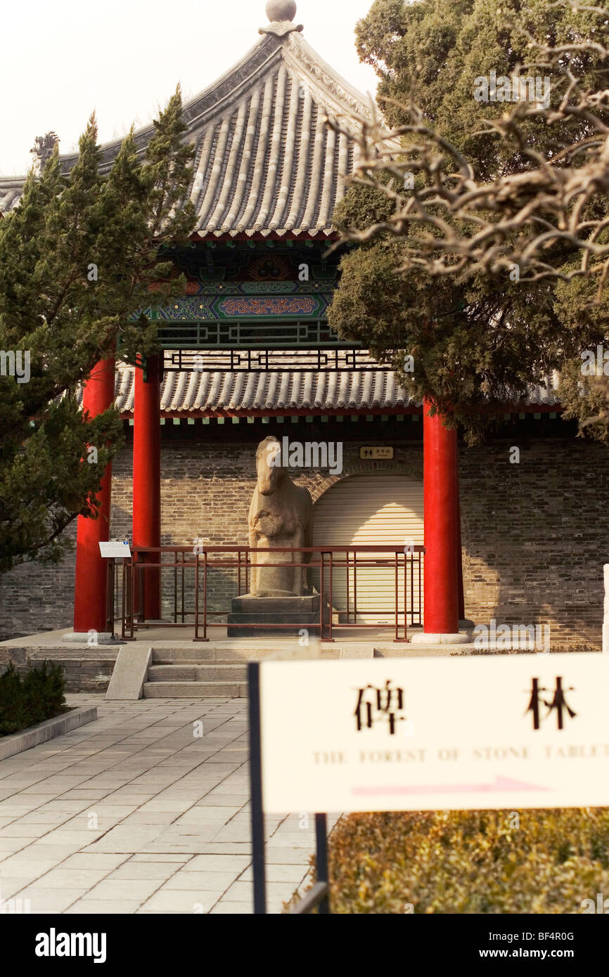 Cavallo di pietra dal da Xia dinastia, Stele foresta, Xi'an, Shaanxi Province, Cina Foto Stock