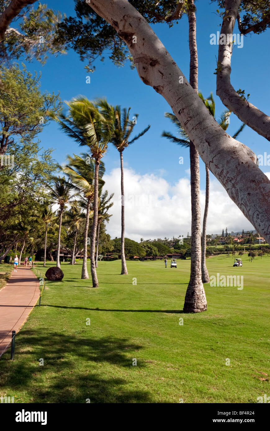 Royal Kaanapali Golf con palme e percorso spiaggia. Foto Stock