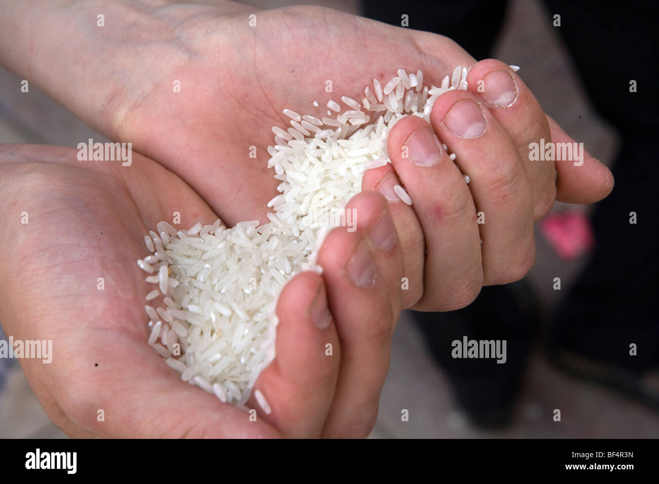 Ospiti di nozze con pugno di riso, close up, Russia Foto Stock