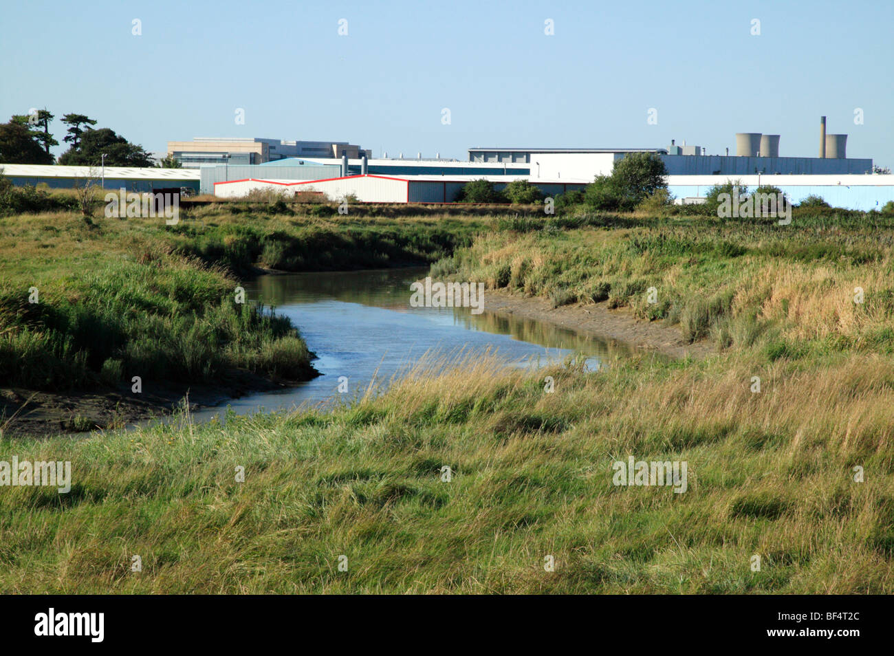 Vista della Pfizer Pharmaceuticals e la grande Stonar preso dal fiume Stour vicino a sandwich nel Kent Foto Stock