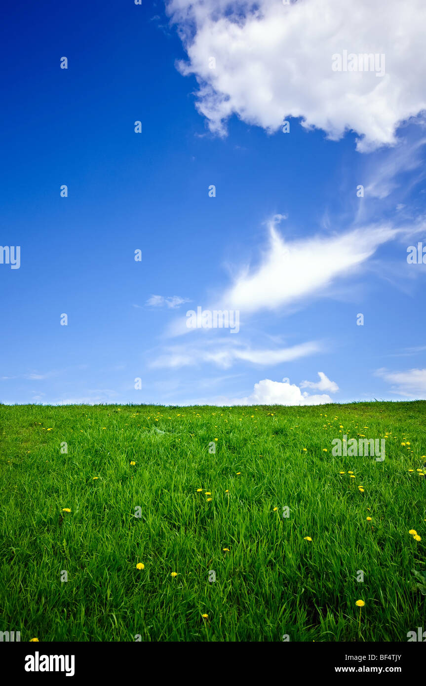 Verde erba, il cielo blu e nuvole bianche Foto Stock