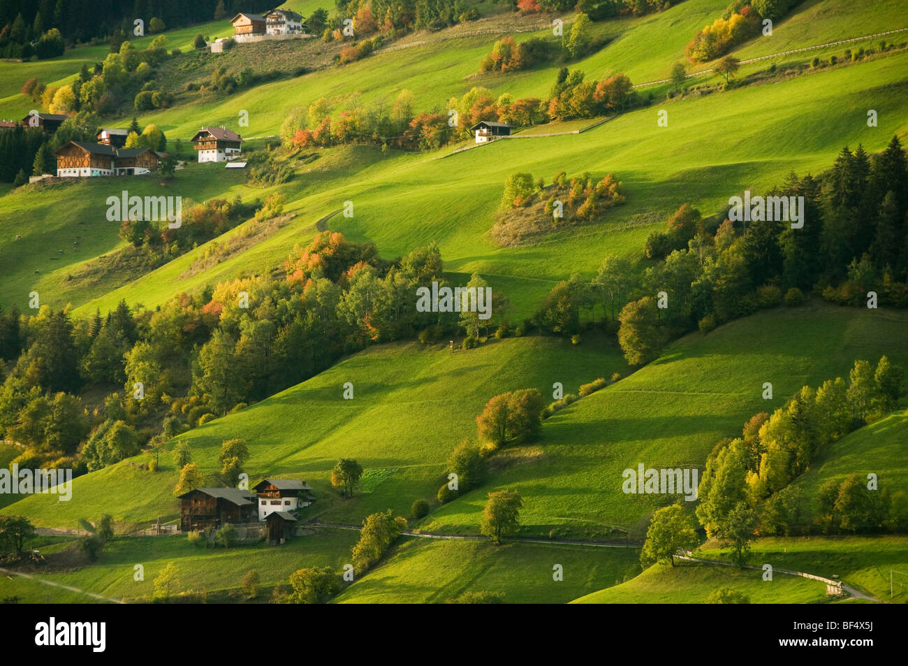 Case e fattorie, Val di Funes, Dolomiti, Trentino-Alto Adige, Italia Foto Stock